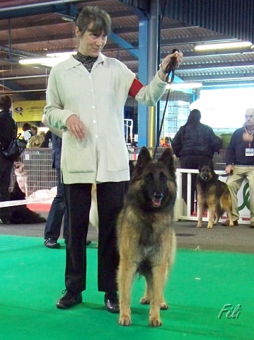 n°98 Gaia of the smart spirit 5443.JPG